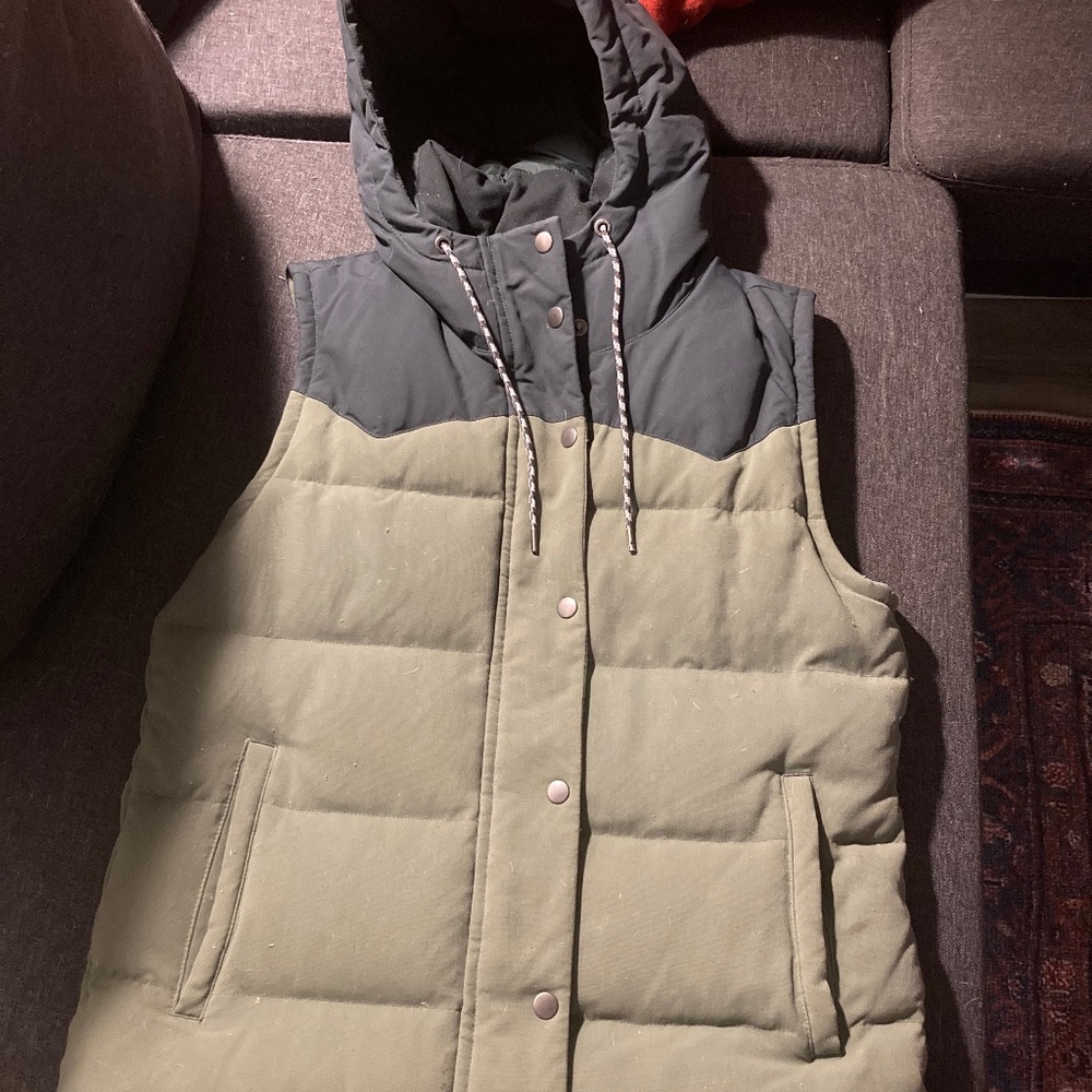 Patagonia down vest
